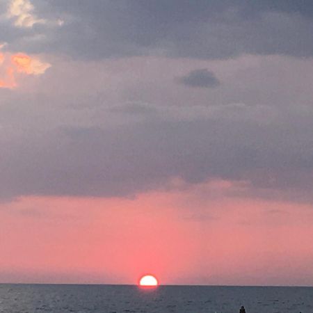 Camping I Melograni Marina Di Bibbona Dış mekan fotoğraf