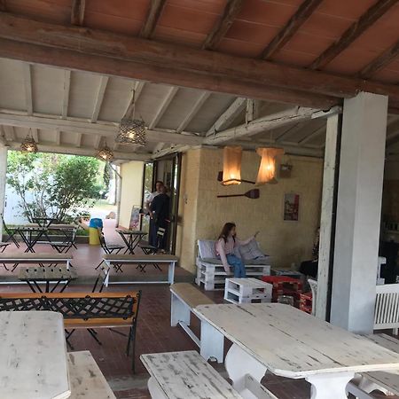 Camping I Melograni Marina Di Bibbona Dış mekan fotoğraf