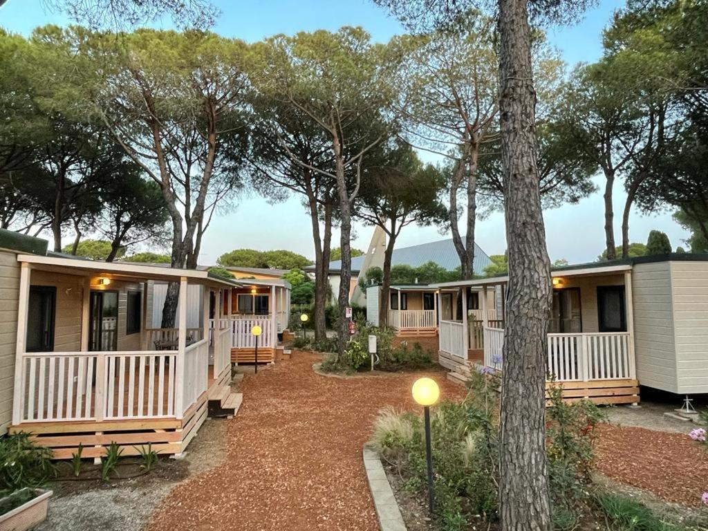 Camping I Melograni Marina Di Bibbona Dış mekan fotoğraf