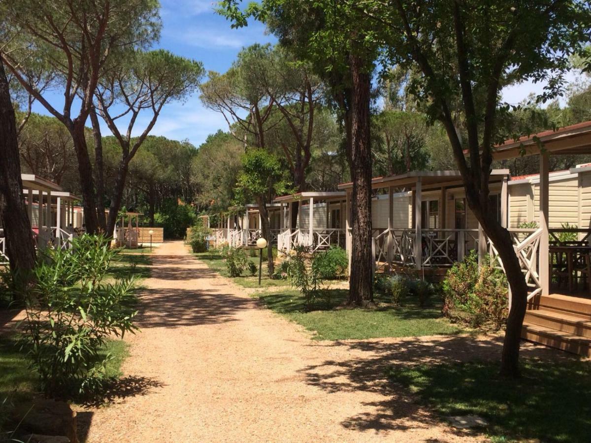 Camping I Melograni Marina Di Bibbona Dış mekan fotoğraf