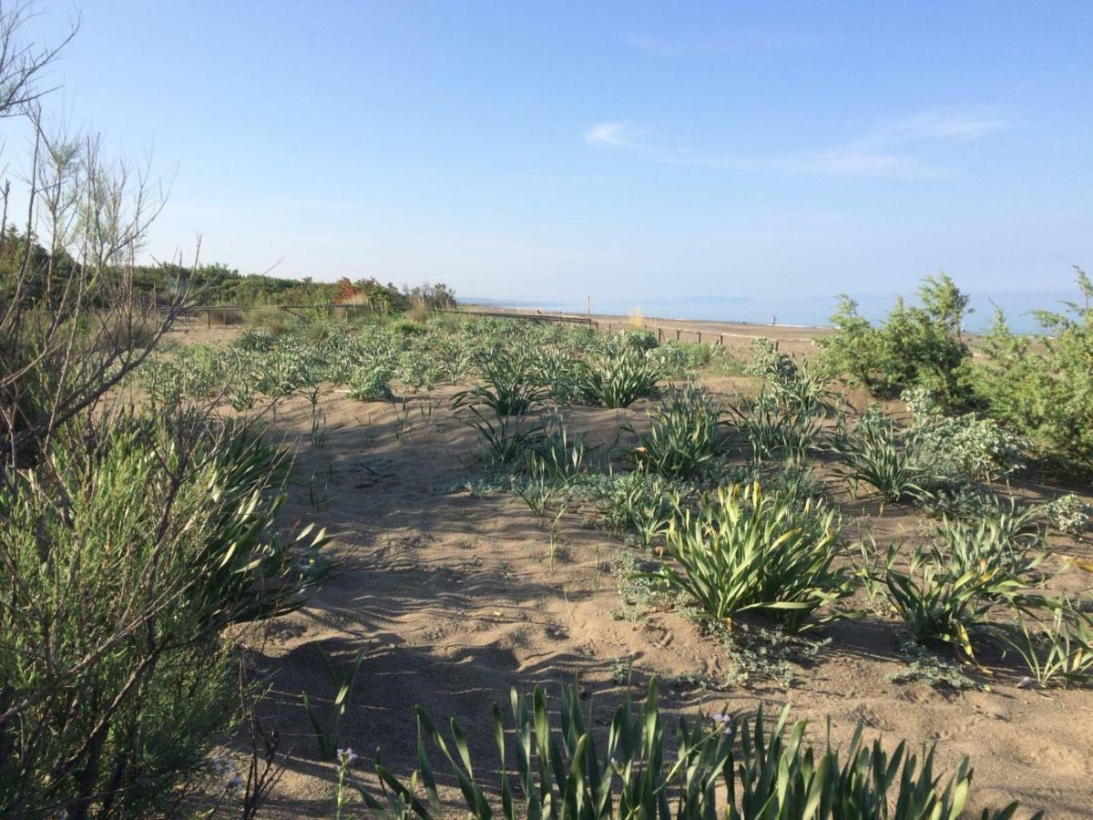 Camping I Melograni Marina Di Bibbona Dış mekan fotoğraf